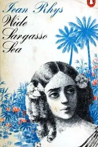 Cover of Wide Sargasso Sea by Jean Rhys